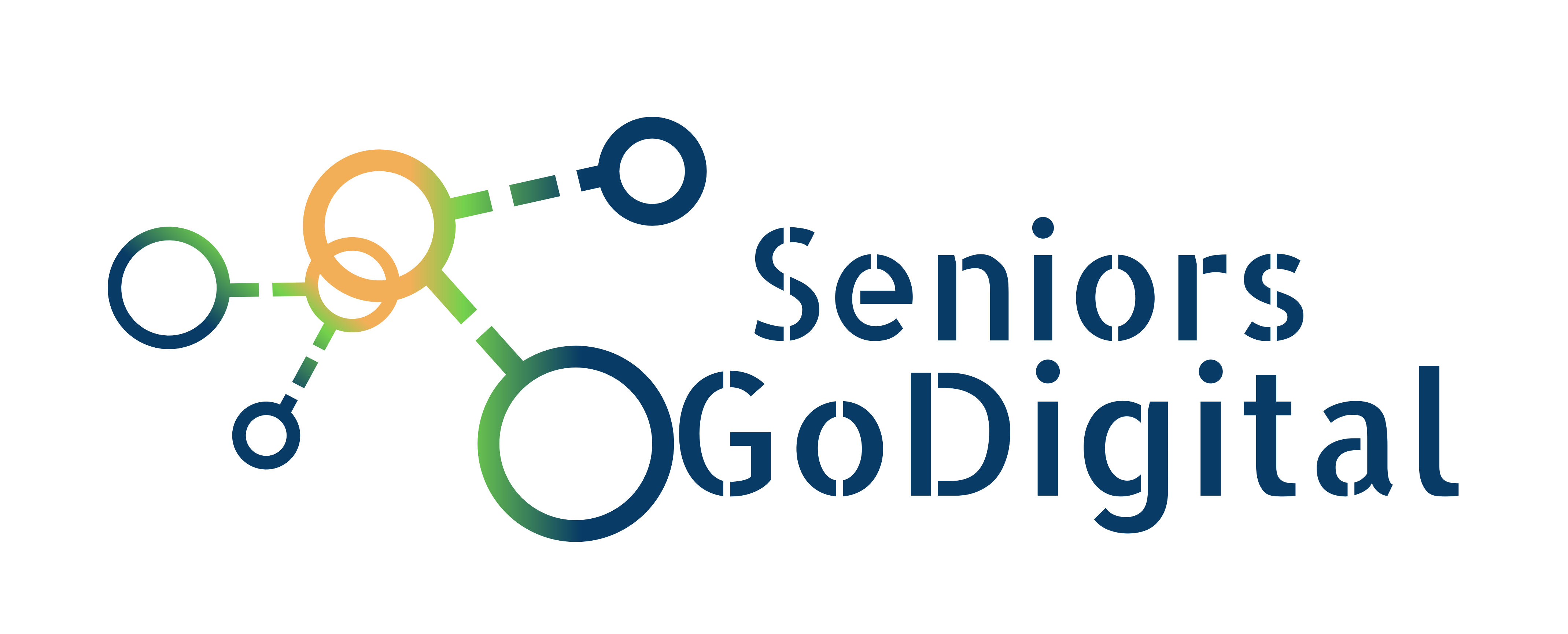 Seniors Go Digital: Promoting Inclusive Strategies for Disadvantaged Seniors